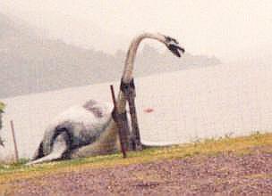'Das Ungeheuer von Loch Ness';return true